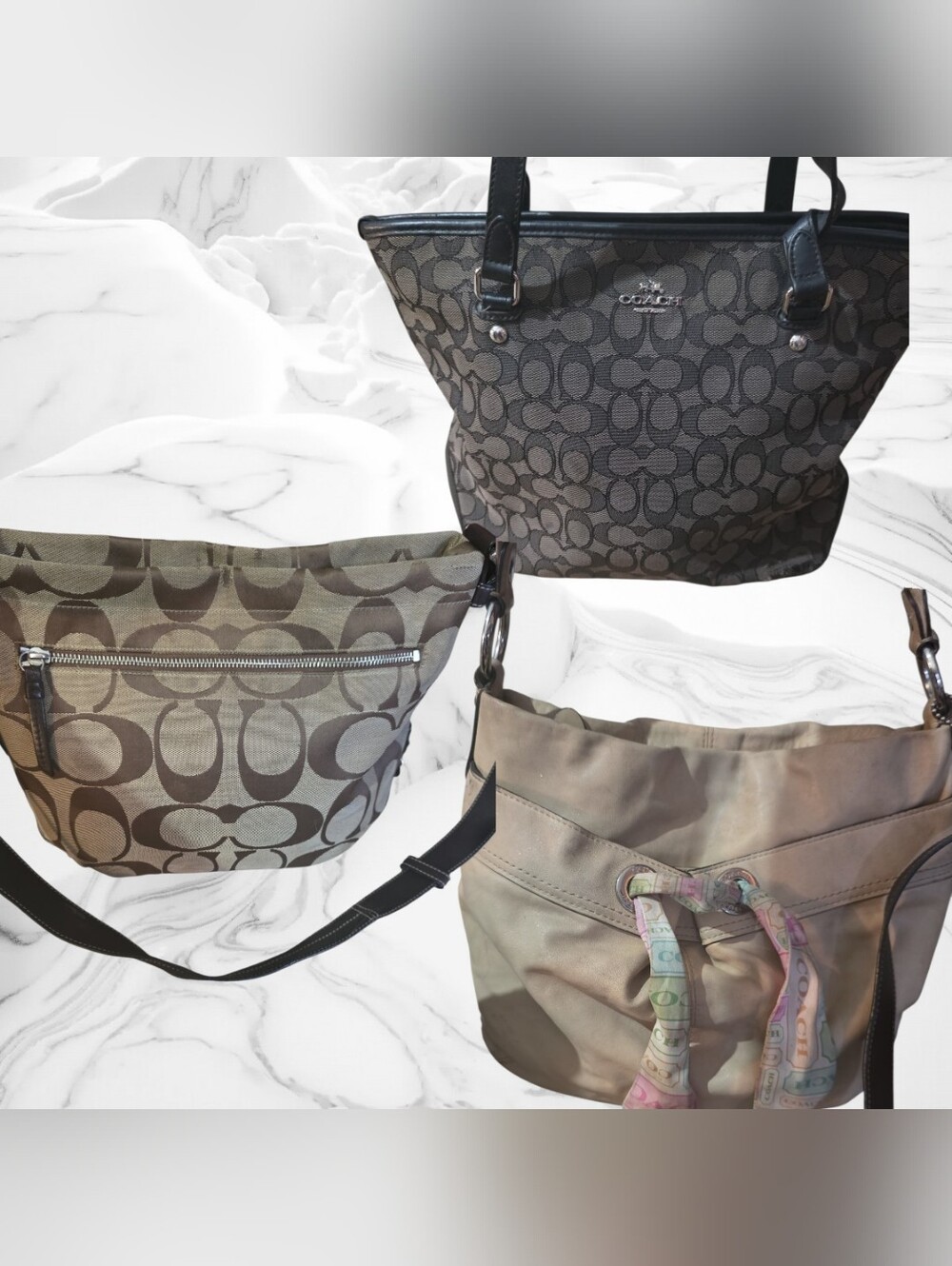 COACH Signature Canvas Tote and Hobo Bag Set in Brown